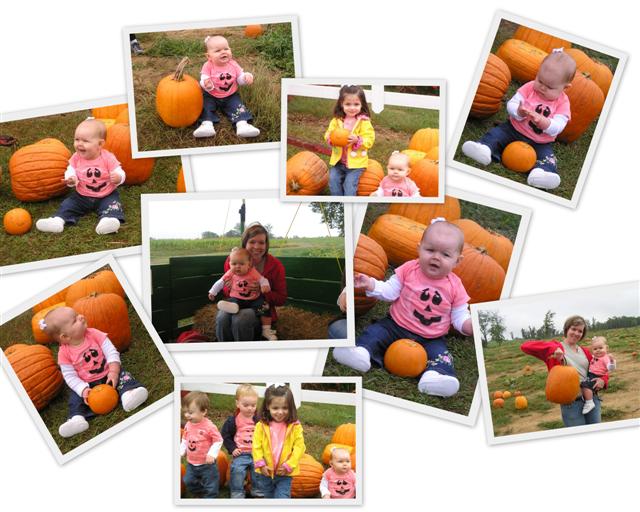 pumpkinpatch2 (Small).jpg